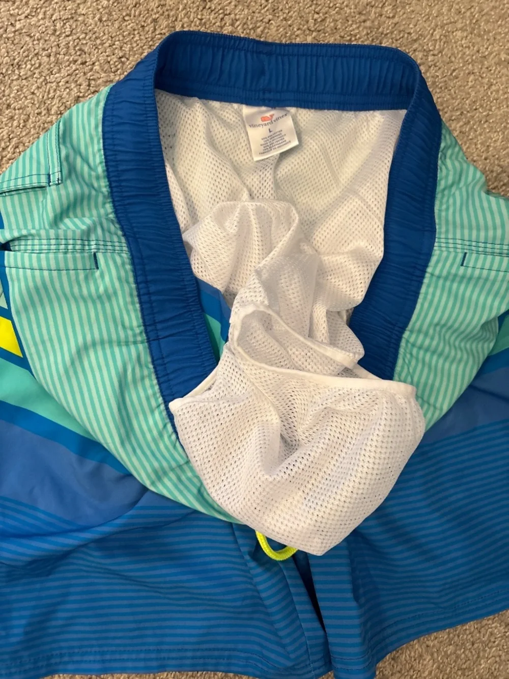 Blue stripe swim trunks
